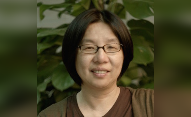 BIDSA Webinar: "Veridical Data Science for biomedical discovery: subgroup discovery through staDISC"